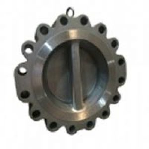 Lug-Type-Dual-Plate-Swing-Check-Valve